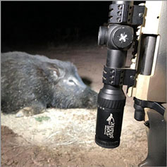Pig taken by Steve Criner and Dog Soldier Predator Scope