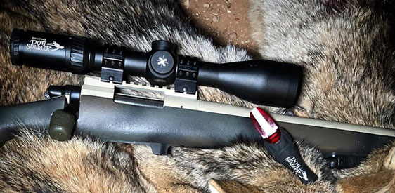  What's Needed In a Great Predator Scope